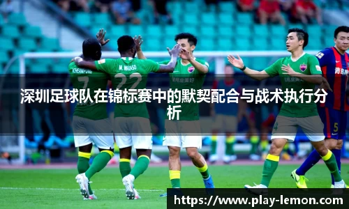 深圳足球队在锦标赛中的默契配合与战术执行分析
